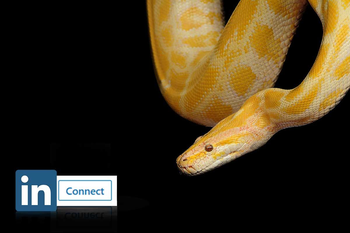 clienti con linkedin