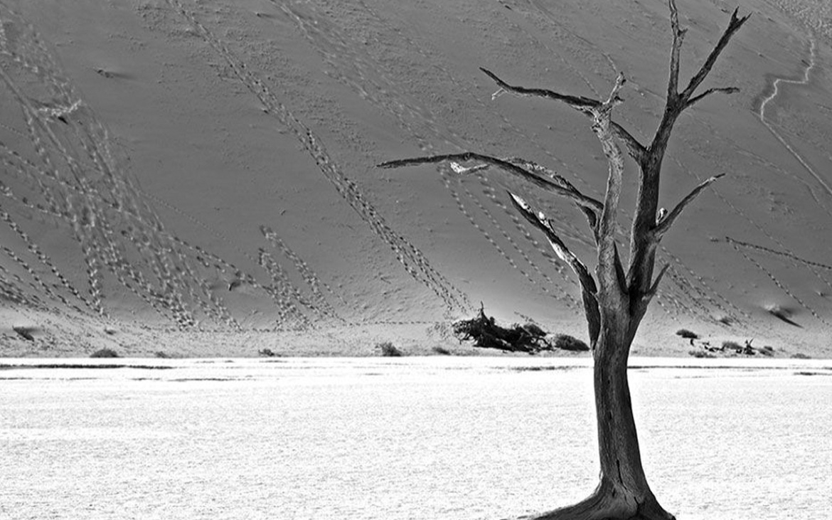 Servizio fotografico Africa